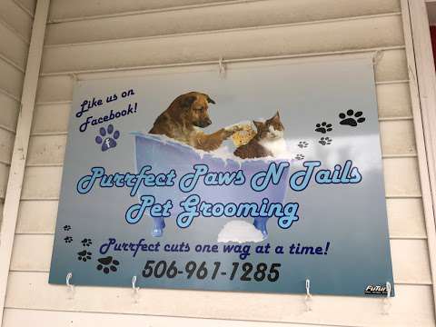 Purrfect Paws N Tails Pet Grooming Purrfect Paws N Tails Pet Grooming